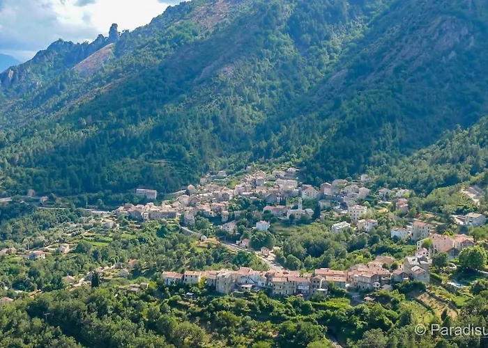 Apartment Centre Corse