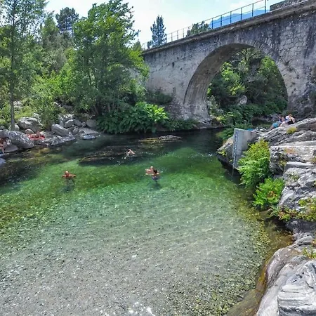 아파트 Centre Corse